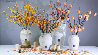 �����̻�ֲ������